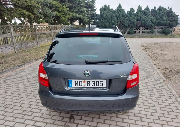 Skoda Fabia cena 14999 przebieg: 164000, rok produkcji 2010 z Płońsk małe 211